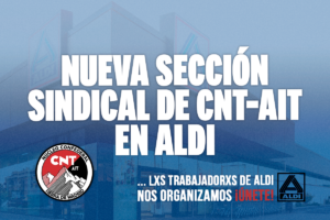 Nueva Sección Sindical en ALDI